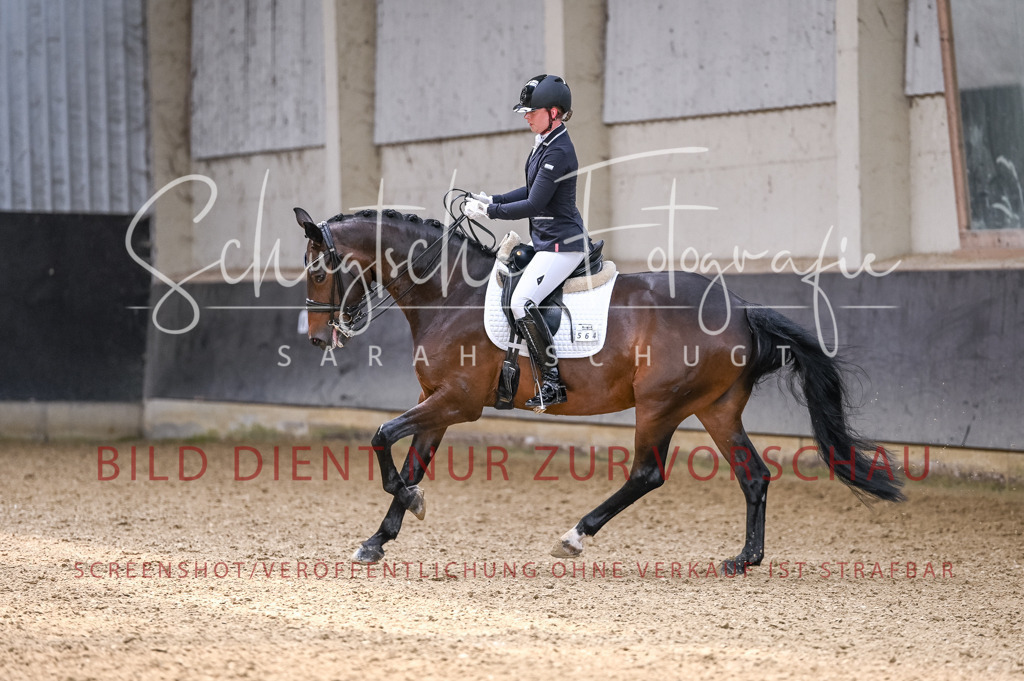 Schugtsche-Aluta25-57.Dressurprf.M1Kand-111 | Schugtsche Fotografie - Realizzato con Pictrs.com