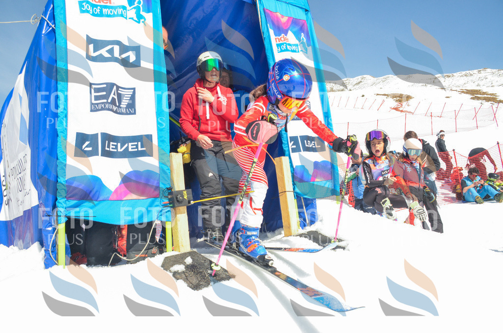 _ELE5868 | holidayphoto