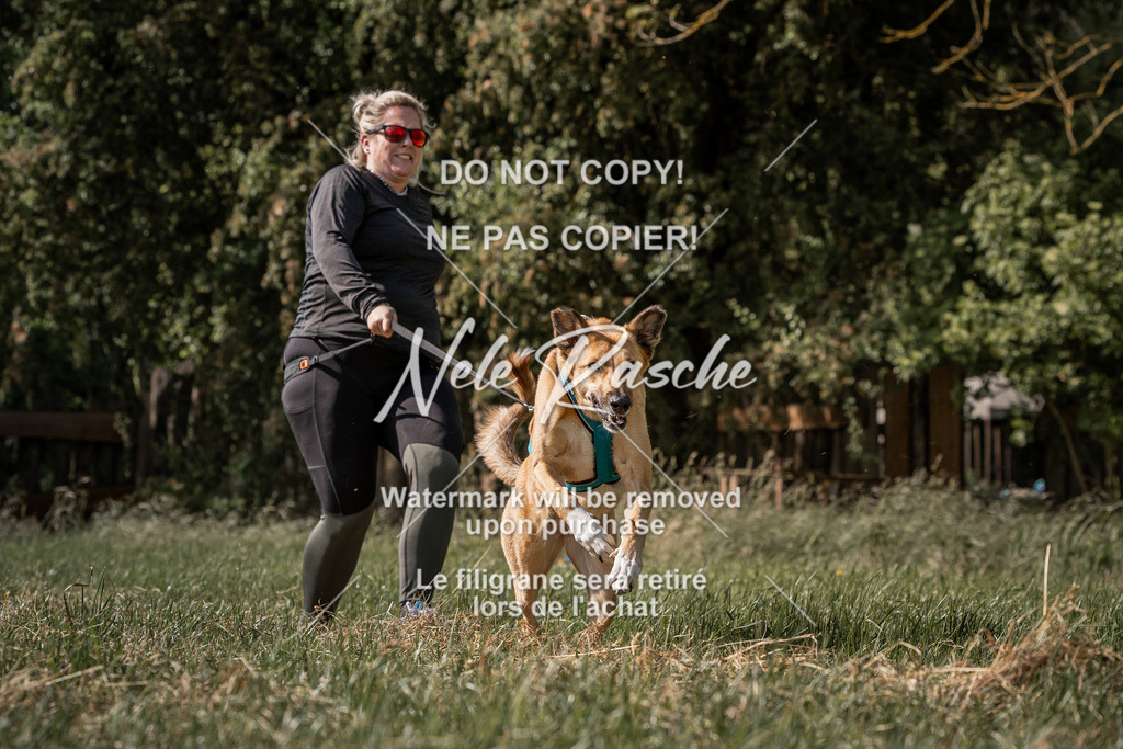 nelerasche_Do-spät_164 | nelerasche