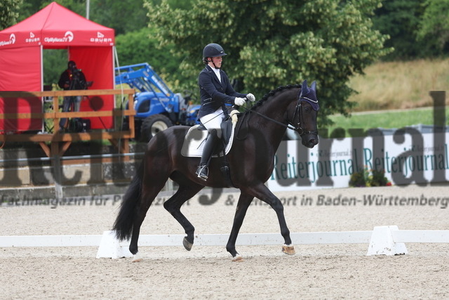 Weilheim_2023_Prfg.Nr.22_4jähr.Stuten u.Wallache_Kristina Haidegger_Zathuro (4) | Alle Fotos der Reiterjournal Fotografin Doris Matthaes im Reiterjournal Online-Fotoshop. - Realisiert mit Pictrs.com