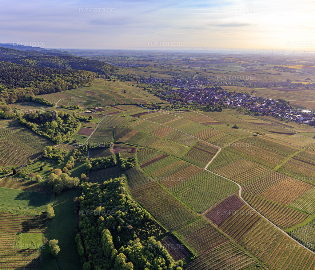 Luftbild: Weinlage Sonnenberg in Wissembourg im Bundesland Bas-Rhin in Frankreich. – Foto: IMG_107015.jpg vom 27.04.2018 durch Werner Riehm/FLY-FOTO.de – Auflösung des Originals: 4247 x 3648 px