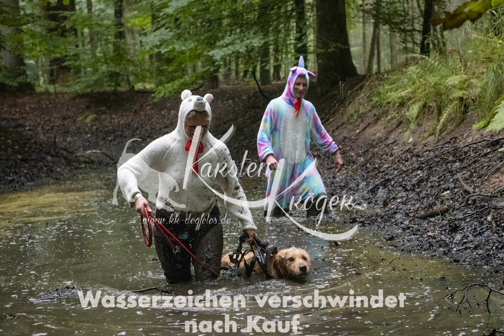 0917_ZZ90206-Bearbeitet | kk-dogfotos