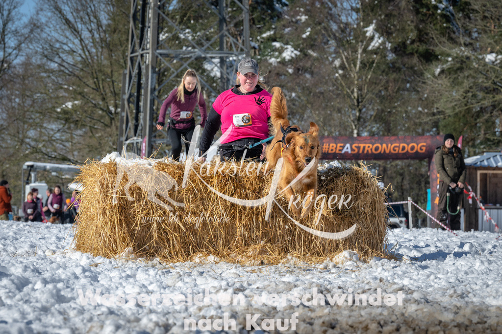1132_ZZ90092-3 | kk-dogfotos