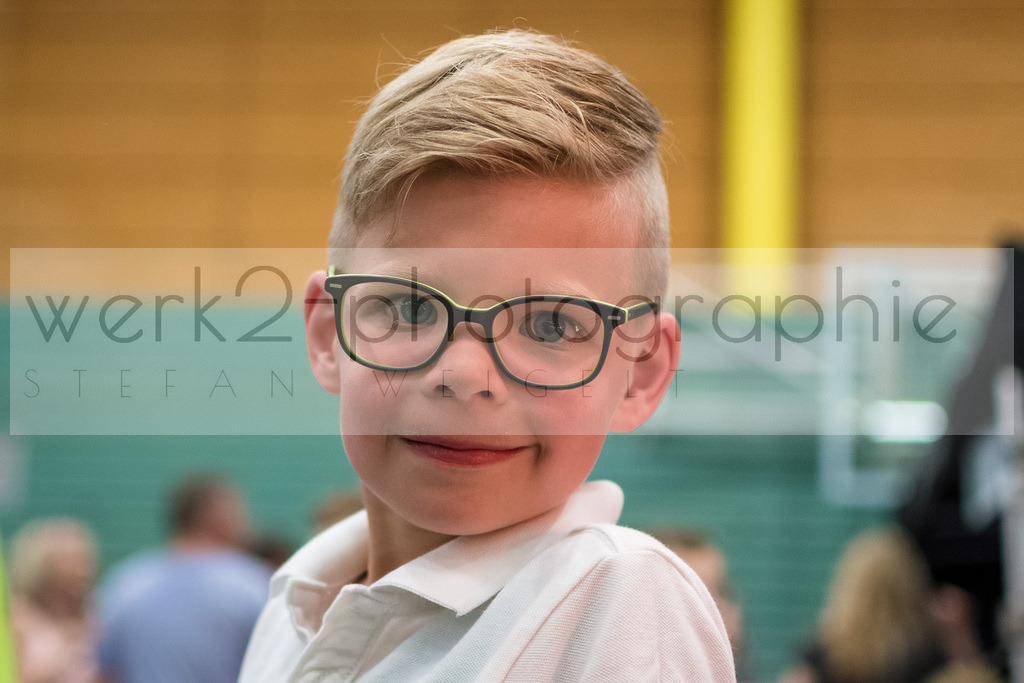 Rennsteiglauf 2017 | Neuhaus/Rwg. - Schmiedefeld am 19. Mai 2017