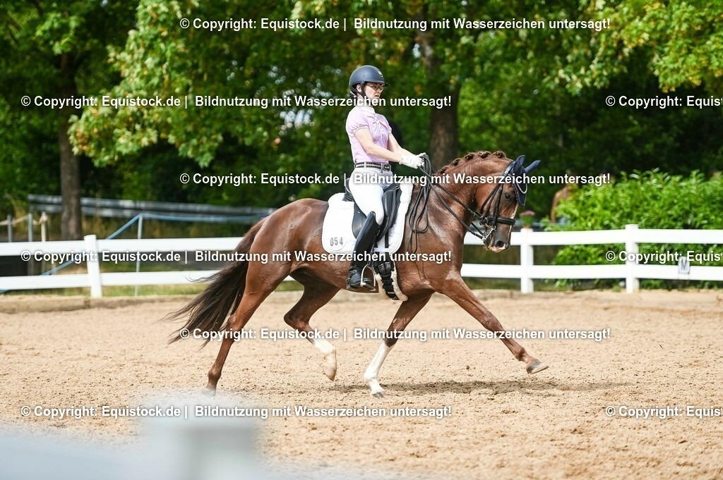 20230716_01_Dressurprüfung Kl.M_0399 | equistock