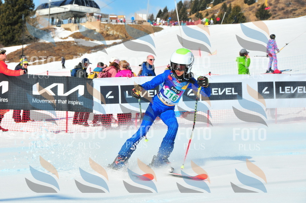 DSC_0903 | holidayphoto