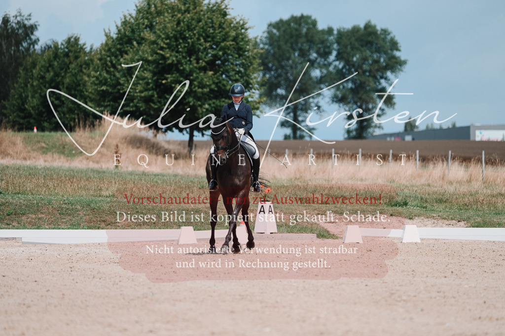 DSC_4295 | Pferde- und Turnierfotografie in Westsachsen. Pferdeportraits, Auftragszeichnungen und intuitive Kunst.