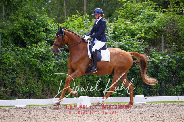 DKP41240 | Turnierfotos kaufen im Webshop von Daniel Kuhl Photography – entdecke professionelle Reitsportfotos aus Turnieren & Events. Hochwertige Turnierbilder online bestellen & sichern. Jetzt Fotos von Reitsportturnieren kaufen!