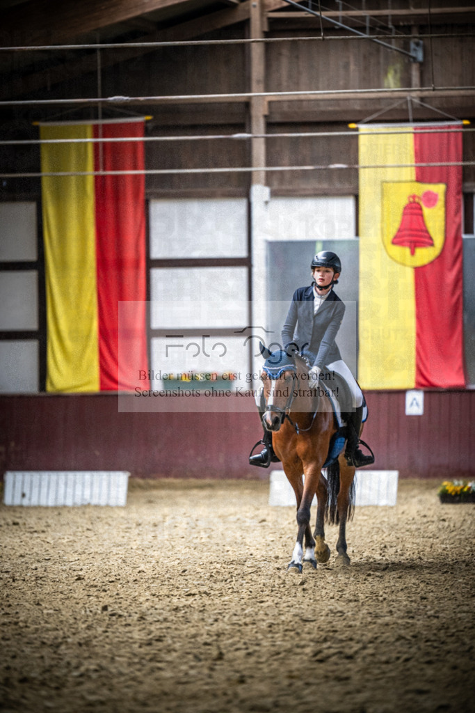 DOS_2368 | Reitturnier Lüdinghausen - Realisiert mit Pictrs.com