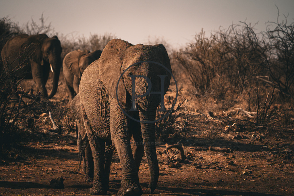 DSC07494 | Philipp-Heist - Realisiert mit Pictrs.com