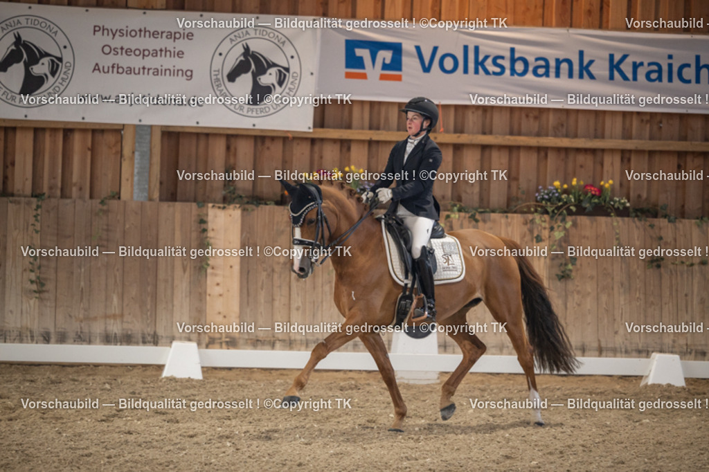 _D5A6142 | Emotionale Pferde- & People-Fotografie rund um Heidelberg, Leimen & Umgebung. Natürliche Fotos von Pferd, Mensch & Familie. Jetzt Termin sichern!