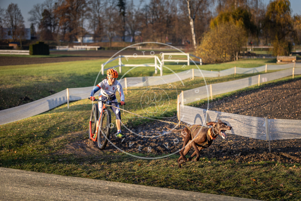 CaniXpix_DV3A9918 | Hundefotografie, Tierfotograf, Pfotenfotografie, Fotoshooting Hund, Hunde Portrait, Hundesport, Hundeportraits, Heideshooting, Hunde, Sportfotograf, Hundefotograf, Turnierhundsport, THS,  - Realisiert mit Pictrs.com