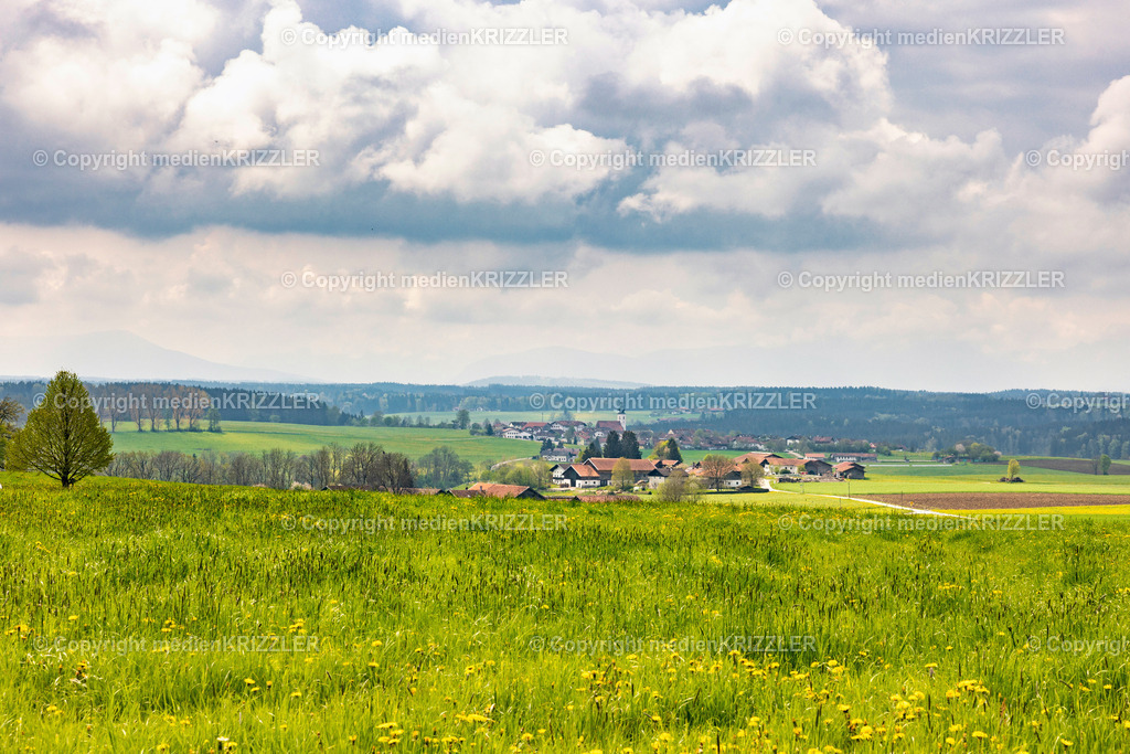 Otting | medienkrizzler - Realisiert mit Pictrs.com