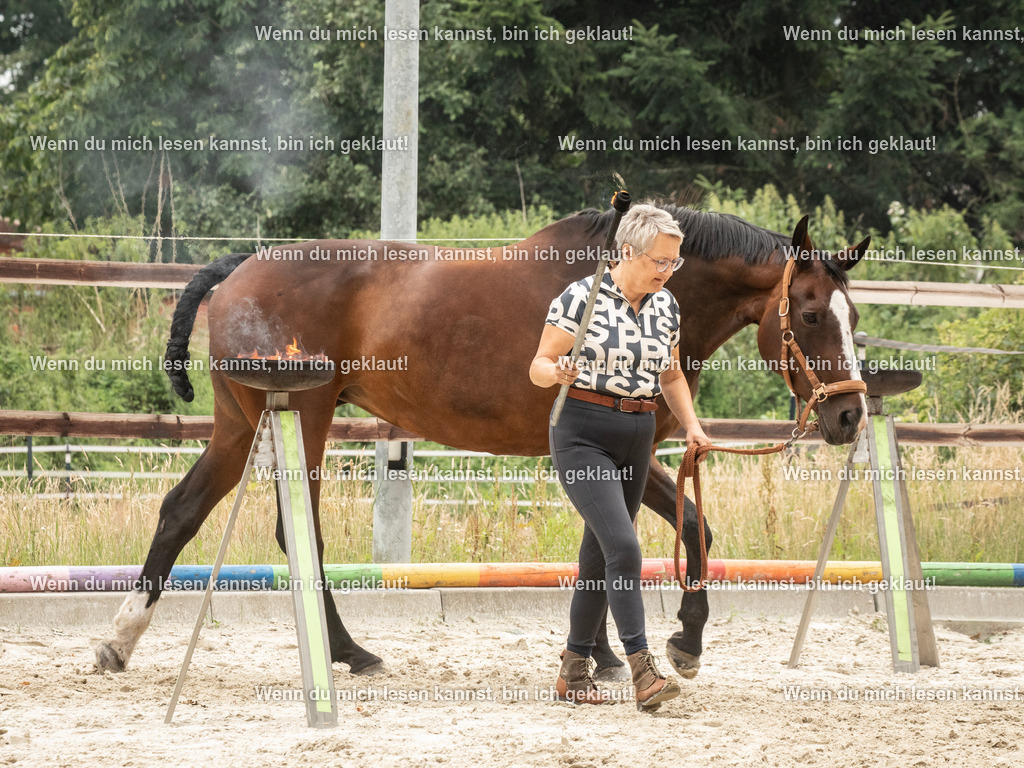 598A7814 | photographylinaismer - Realisiert mit Pictrs.com