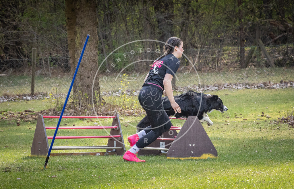 Pfotenfotografie_DV3A3636 | Hundefotografie, Tierfotograf, Pfotenfotografie, Fotoshooting Hund, Hunde Portrait, Hundesport, Hundeportraits, Heideshooting, Hunde, Sportfotograf, Hundefotograf, Turnierhundsport, THS,  - Realisiert mit Pictrs.com
