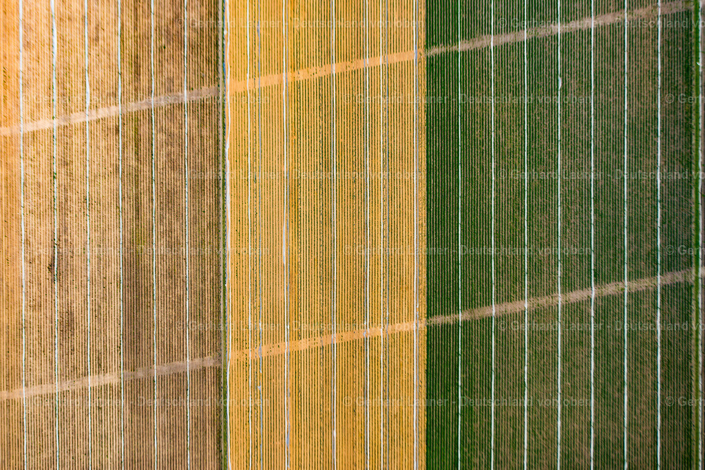 3802370 | Feldstrukturen bei Tostedt