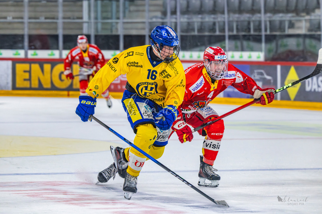 U21_EHCB vs HCD_wb20260308-2-3 | Sportbilder, Sportfotograf, Hochzeits- und Eventfotografin, Flugshows, Portraits und Tiershooting, Aviation, Downhill, Nationalleague, Swissleague, International