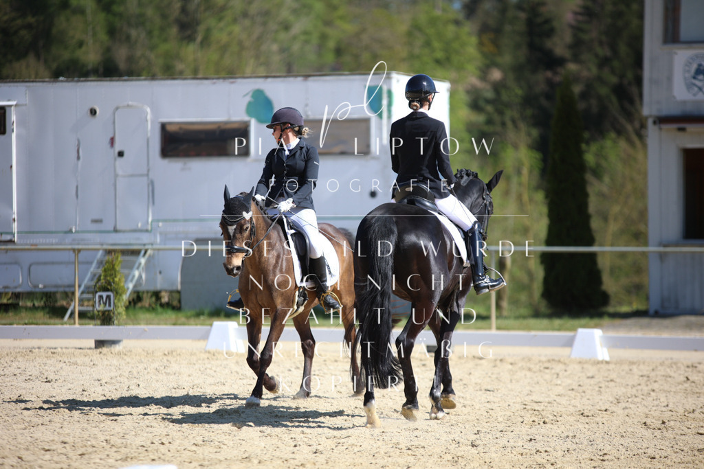 IMGT2247 | pl-fotografie