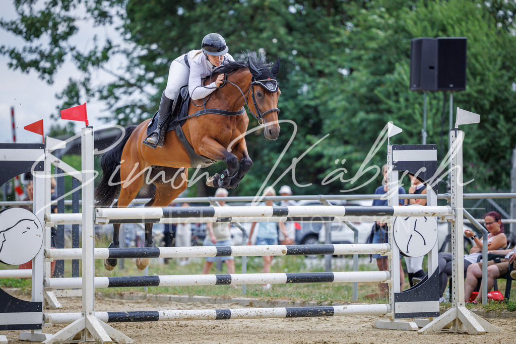 20260705-_3LI6503 | Tierfotografie Pferde, Hunde, Katzen, Haustiere.
Turnierfotografie Reitturniere, Reiten, Springreiten, Dressur in Hanau, dem Main-Kinzig-Kreis und dem Rhein-Main- Gebiet um Frankfurt