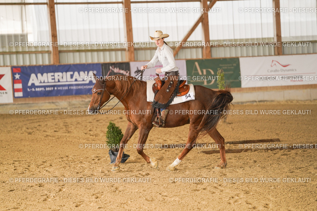 DSC01642 | Pferdegrafie