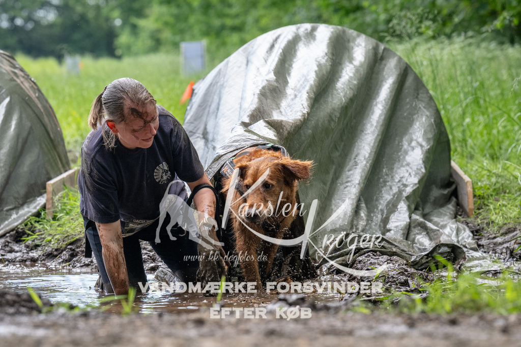 1116_ZZ92324 | kk-dogfotos