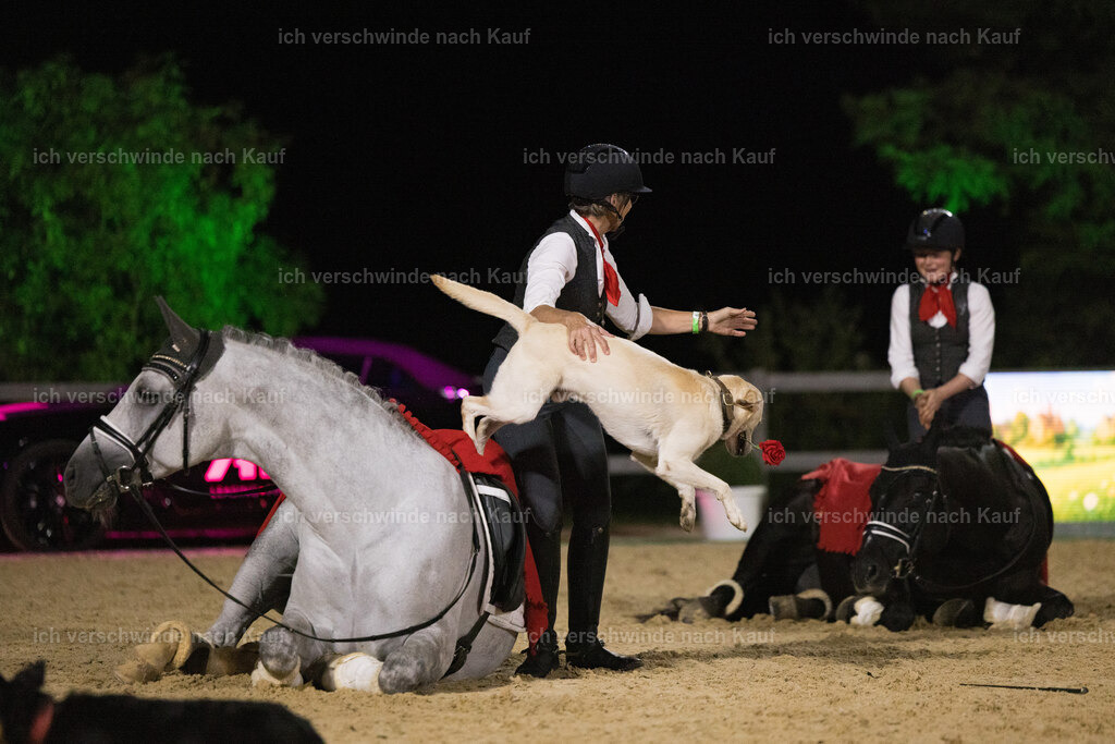 Gala-524 | working equitationturnier fotograf videograf stoibphotography marixx film working equitation deutschland reitsport turnierfotografie eventfotografie equestrian events