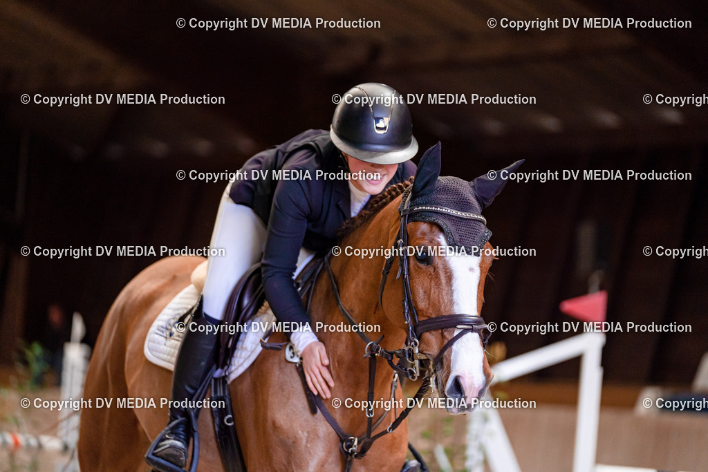 Springen Tag 1-544 | dv-media-shop - Realisiert mit Pictrs.com