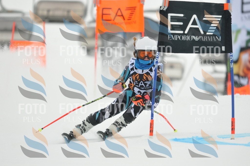 DSC_7594 | holidayphoto