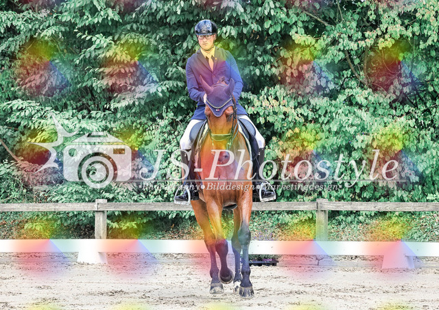 20250726_Dressurprüfung Kl.L Kandare-44 | JS-Photostyle - Sport-/Portrait- & Eventfotografie