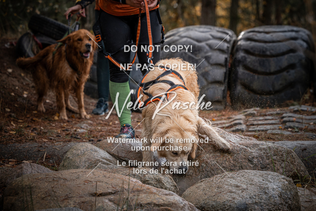nelerasche_Creepy2025_So1100-1130_427 | nelerasche