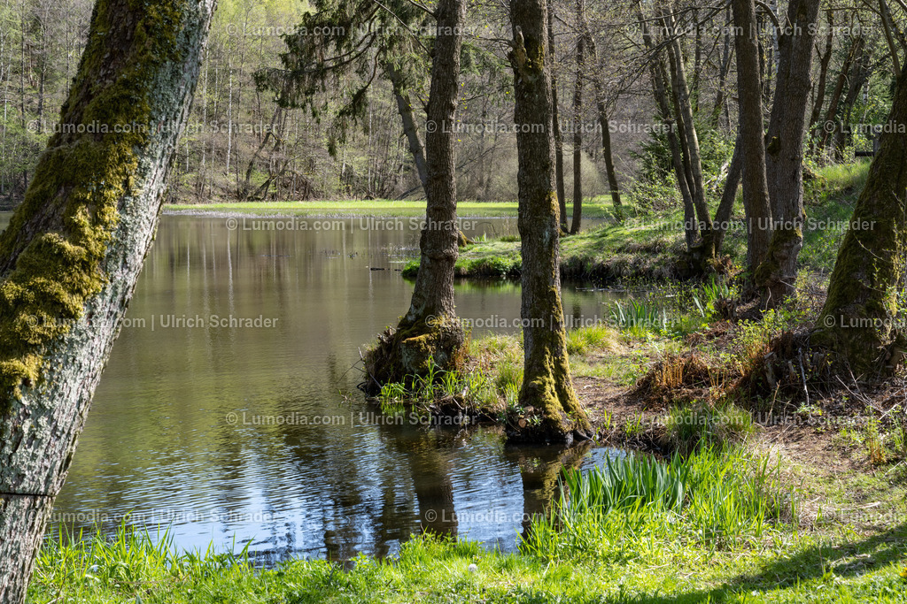 10049-12824 - Kiliansteiche im Unterharz | Stockfoto und Bilderpool mit Bildmaterial aus Deutschland, dem Harz, Halberstadt, Quedlinburg, Wernigerode und weltweit. Qualitativ hochwertige und professionelle Fotos anschauen und kaufen. - Realisiert mit Pictrs.com