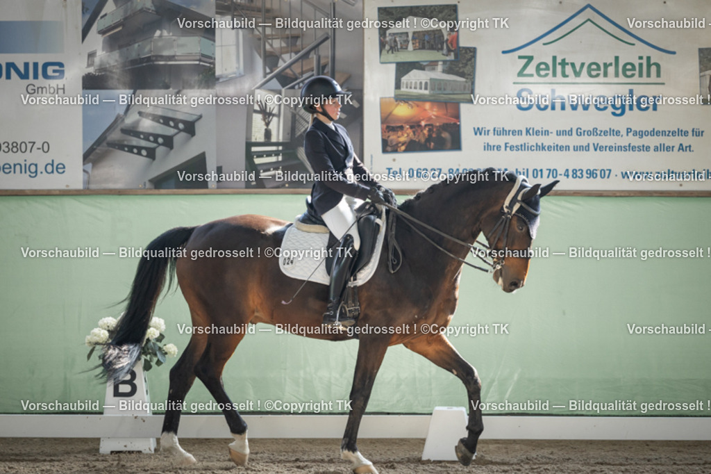 _D5A2786 | Emotionale Pferde- & People-Fotografie rund um Heidelberg, Leimen & Umgebung. Natürliche Fotos von Pferd, Mensch & Familie. Jetzt Termin sichern!