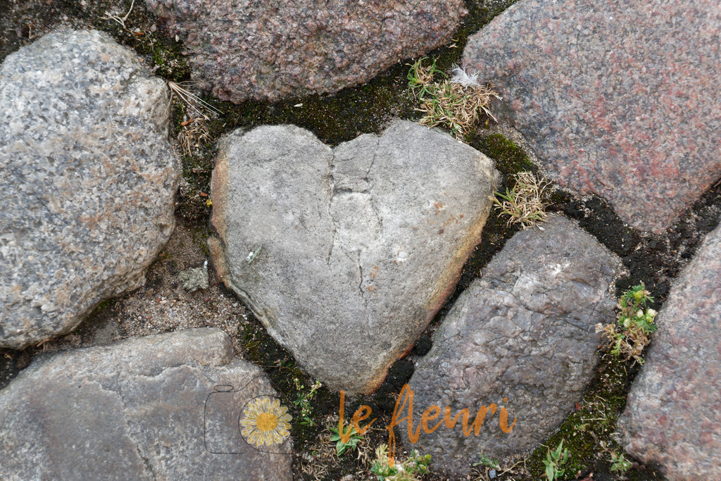 DSC_0029-NEF_DxO_HQ | Dies ist der Shop von Florian Blum - le fleuri. Langenthal, Bern, Schweiz. Sie können hier meine oder ihre eigenen Fotos als Fotoprodukte kaufen. Tassen, Schlüsselanhänger, Taschen etc. können Sie hier gestalten.  - Realisiert mit Pictrs.com