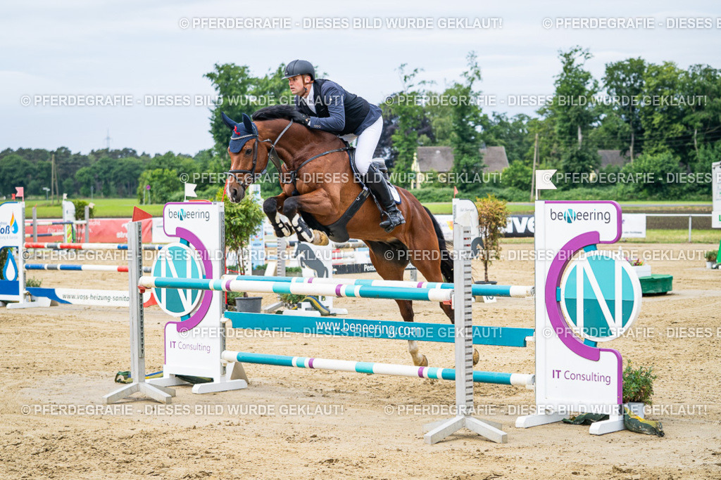 DSC04828 | Pferdegrafie