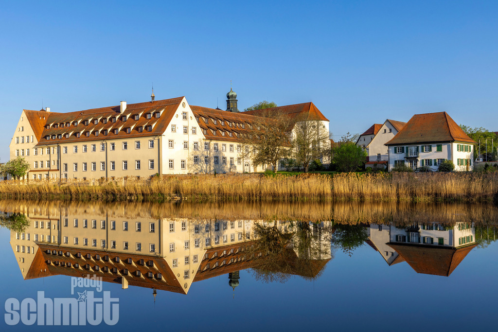 PS-Wald-2026-01 | Entdecke die größte Bildgalerie der Region mit Fotografien aus dem Allgäu, der Bodenseeregion, Oberschwaben, dem Donautal und der Schwäbischen Alb. Landschaften, Luftaufnahmen und Reisefotografie als Wandbild und Fotokunst. - Realisiert mit Pictrs.com