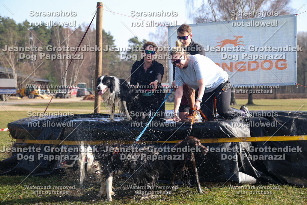 Dog Paparazzi - Strongdog North Mrz26-1123 | Dog Paparazzi Jeanette Grottendiek Fotografie & Videografie - Realisiert mit Pictrs.com