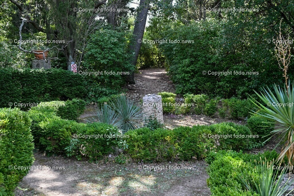 Arboretum von Trsteno_ Kroatien_ 11.10.2023-59 | 11.10.2023, Kroatien, HRV, Trsteno im Bild Arboretum, Trsteno, Hafen, Pflanzen, Brunnen, Neptunbrunnen, Wege, Palmen, Eukalyptus, Lorbeer, Kakteen, Zitrus, Oliven, Filmkulisse Game of Thrones

Das Arboretum von Trsteno befindet sich etwa 18 Kilometer nordwestlich der Stadt Dubrovnik im Sueden Kroatiens. Als einziges Arboretum an der oestlichen Adria-Kueste stellt es die aelteste Sammlung exotischer Baeume und Pflanzen des Landes dar.
Die Gartenanlage befindet sich entlang der Kuestenstraße zwischen den Ortschaften Orašac und Slano.
Quelle: Wikipedia