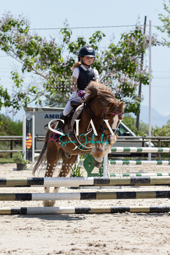 IMG_0176 | s-jay-photography - Realisiert mit Pictrs.com