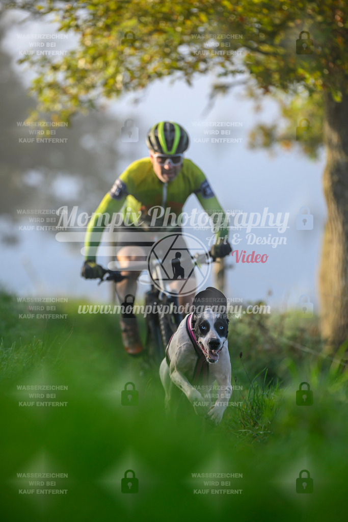 MompixPhotography_20TSB_E3_Bike-1 | PayLife