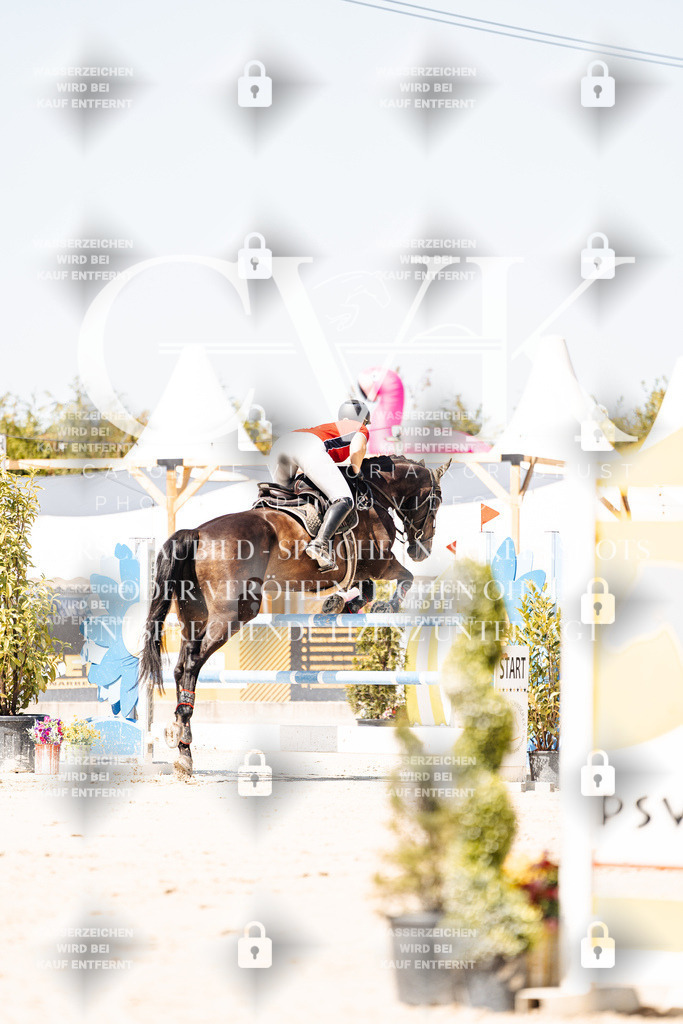 CK909716 | Turnierfotografie Pferdefotografie Trier Rheinland-Pfalz Pferdesport Reitsport Tierfotografie Sportfotografie Pferdevideo Pferdevideografie Equestrianvideography equestrianphotography  - Realisiert mit Pictrs.com
