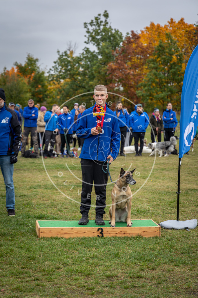 Pfotenfotografie_0L8A0610 | Hundefotografie, Tierfotograf, Pfotenfotografie, Fotoshooting Hund, Hunde Portrait, Hundesport, Hundeportraits, Heideshooting, Hunde, Sportfotograf, Hundefotograf, Turnierhundsport, THS,  - Realisiert mit Pictrs.com