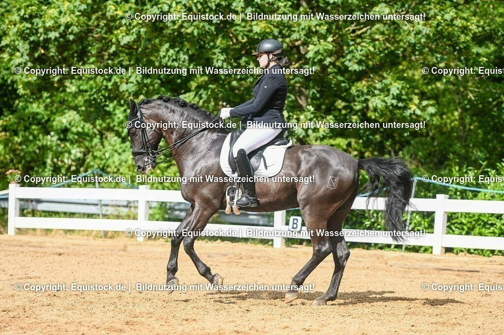 20230716_01_Dressurprüfung Kl.M_0583 | equistock
