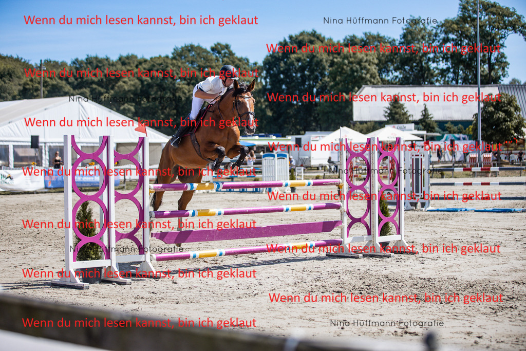 BK1A6362 | Turnierbilder Turnierfotos Nina Hüffmann Turnierfotografie Pferdefotografie Tierzeichnung Haustierzeichnung Pferdezeichnung Hundezeichnung Videograf  - Realisiert mit Pictrs.com