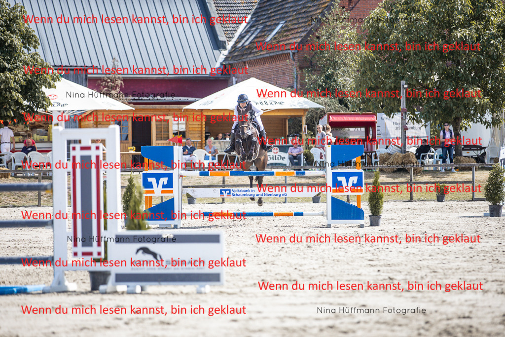 BK1A6502 | Turnierbilder Turnierfotos Nina Hüffmann Turnierfotografie Pferdefotografie Tierzeichnung Haustierzeichnung Pferdezeichnung Hundezeichnung Videograf  - Realisiert mit Pictrs.com