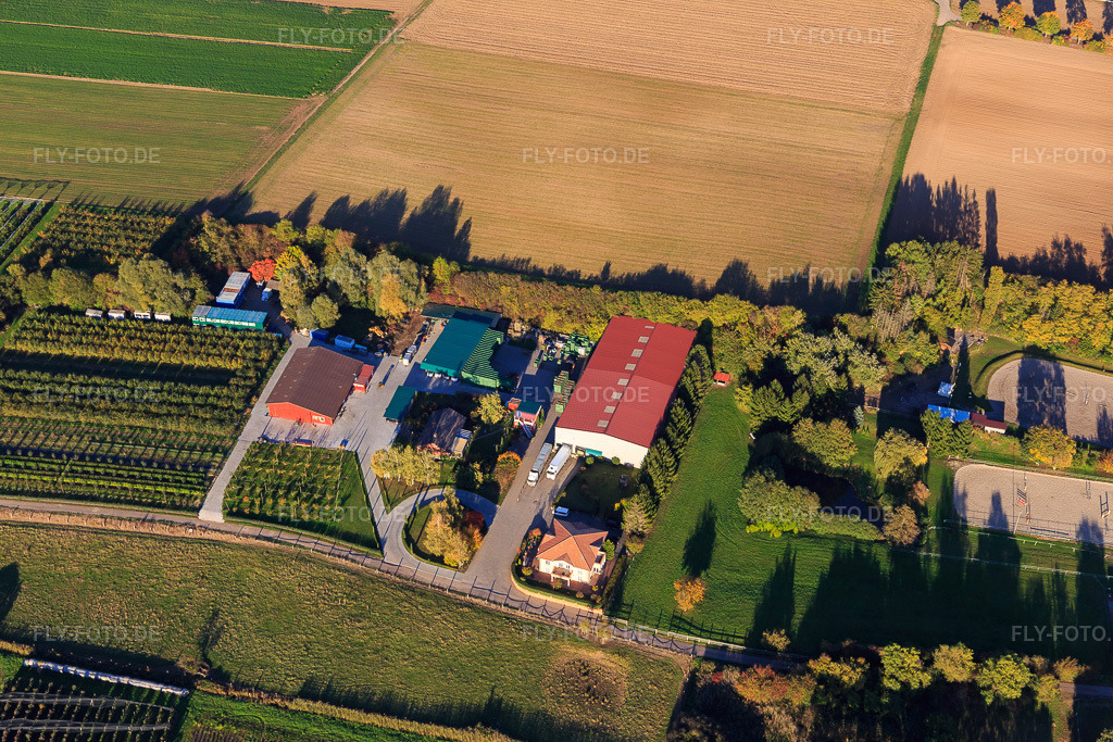 Luftbild: Obsthof Zirker KG in Herxheim bei Landau im Bundesland Rheinland-Pfalz in Deutschland. Foto: IMG_104084.jpg vom 14.10.2017 durch Werner Riehm/FLY-FOTO.deWWW.FRUITFARMER.DE