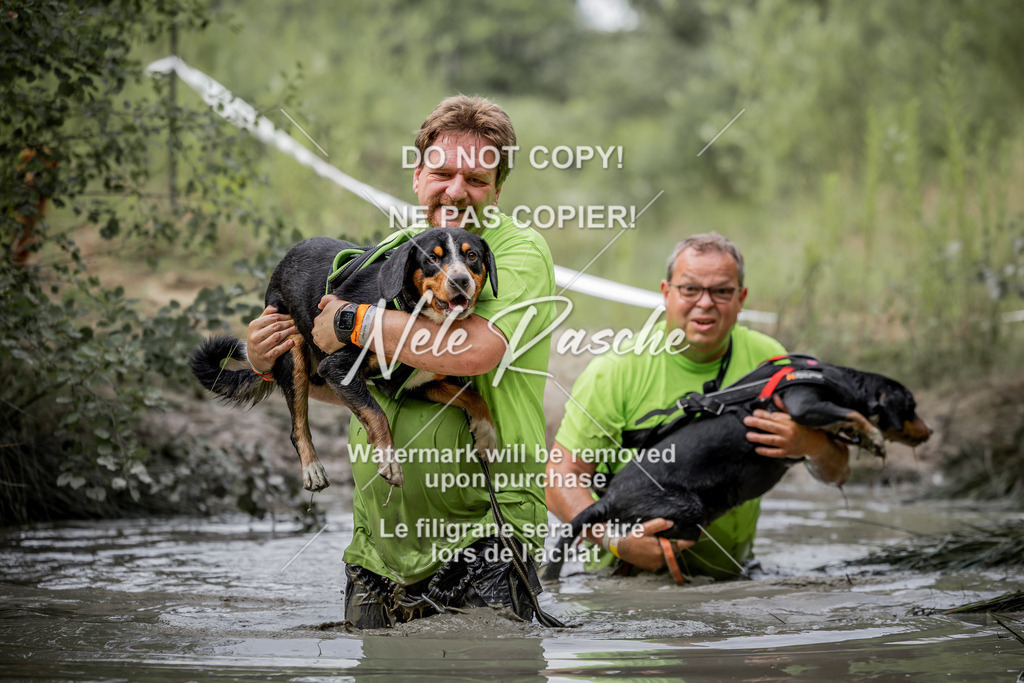 nelerasche_so0800-0930_150 | nelerasche