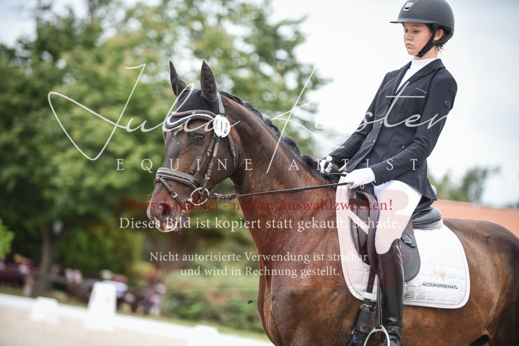 DSC_7927 | Pferde- und Turnierfotografie in Westsachsen. Pferdeportraits, Auftragszeichnungen und intuitive Kunst.