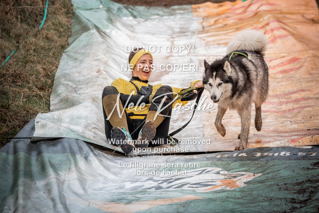 nelerasche_1030-1100_14 | nelerasche