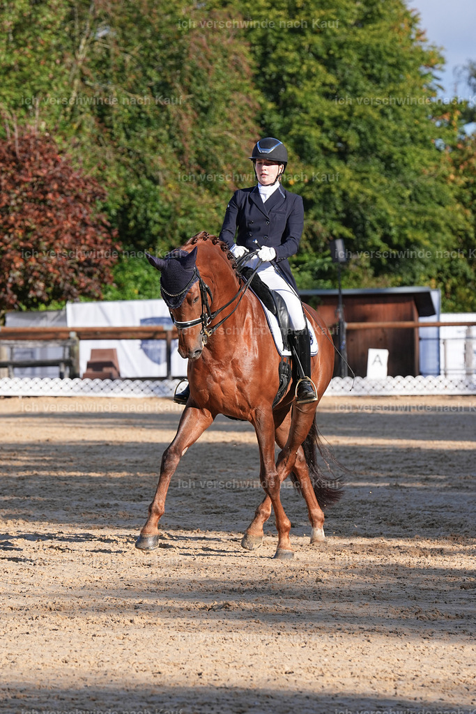 09_1-143-DRESSUR  S_  -Marixx-5667 | working equitationturnier fotograf videograf stoibphotography marixx film working equitation deutschland reitsport turnierfotografie eventfotografie equestrian events
