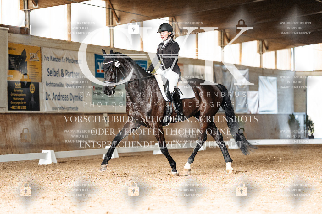 CK902861 | Turnierfotografie Pferdefotografie Trier Rheinland-Pfalz Pferdesport Reitsport Tierfotografie Sportfotografie Pferdevideo Pferdevideografie Equestrianvideography equestrianphotography  - Realisiert mit Pictrs.com